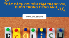 Ôn tập từng vựng tiếng Anh - Các cách gọi tên tâm trạng vui, buồn trong tiếng Anh